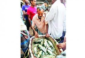 à¦°à¦¾à¦œà¦§à¦¾à¦¨à§€à¦° à¦¸à§‹à§Ÿà¦¾à¦°à§€à¦˜à¦¾à¦Ÿà§‡ à¦ªà§à¦°à¦šà§à¦° à¦‡à¦²à¦¿à¦¶ à¦‰à¦ à¦²à§‡à¦“ à¦¦à¦¾à¦® à¦…à¦§à¦¿à¦•à¦¾à¦‚à¦¶ à¦•à§à¦°à§‡à¦¤à¦¾à¦° à¦¨à¦¾à¦—à¦¾à¦²à§‡à¦° à¦¬à¦¾à¦‡à¦°à§‡