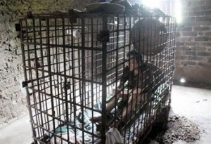 ওয়েবসাইট